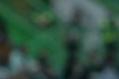 Liverpool reach £85m Darwin Nunez transfer agreement with Benfica striker set to fly in and seal move TODAY