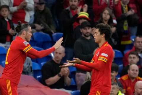 I can ease the World Cup burden on Gareth Bale and fire in the goals in Qatar, says Wales starlet Brennan Johnson