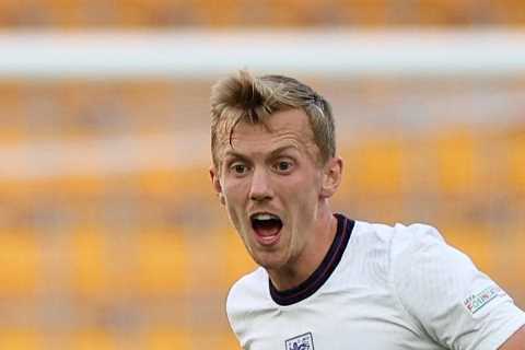 Man Utd joined in James Ward-Prowse transfer battle by West Ham and Newcastle after Southampton star’s stunning season