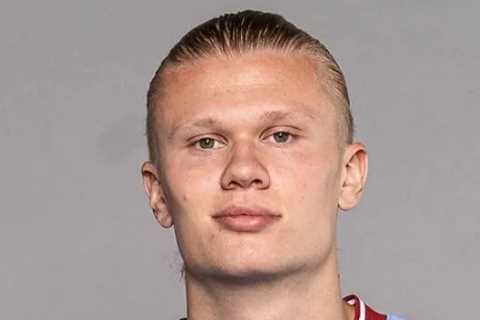‘They look made for each other’ – Erling Haaland will be a total nightmare for Prem defenders, says Chelsea hero Flo