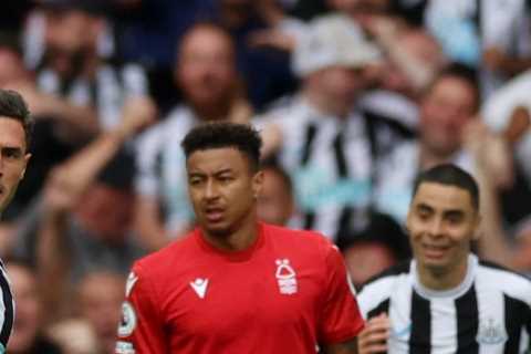 Newcastle 2 Nottingham Forest 0: Fabian Schar screamer and Callum Wilson get Magpies off to a flying start