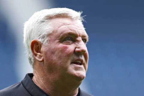 Steve Bruce turned down Premier League job and offer from abroad after Newcastle sacking before joining West Brom