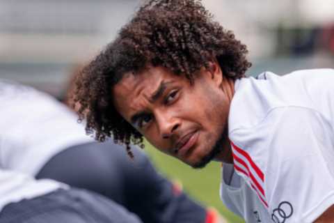 Fulham open talks with Bayern Munich over Joshua Zirkzee transfer as Marco Silva targets striker reinforcements