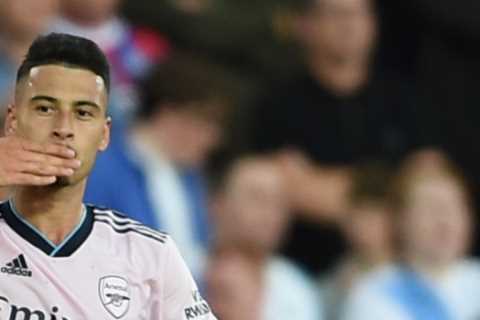 ‘I don’t care about money’ – Arsenal ‘diamond’ Martinelli trains each day ‘like it’s his last on earth’ reveals new doc