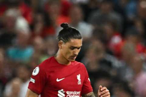 Watch montage of Andersen winding up Nunez before Liverpool star sees red and headbutts Crystal Palace ace