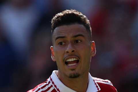 Man Utd legend Rio Ferdinand claims Arsenal star Gabriel Martinelli ‘can be the next Luis Suarez’ after Arteta chat