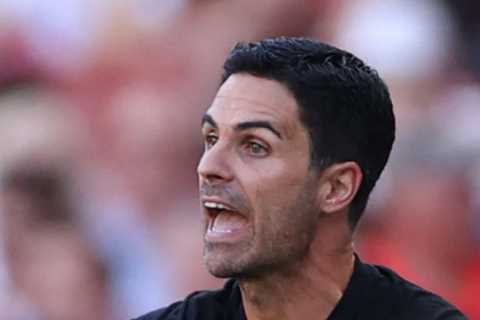 Mark Irwin: If your boss spoke to you like Mikel Arteta, you’d be straight to HR… but Arsenal stars respond to it