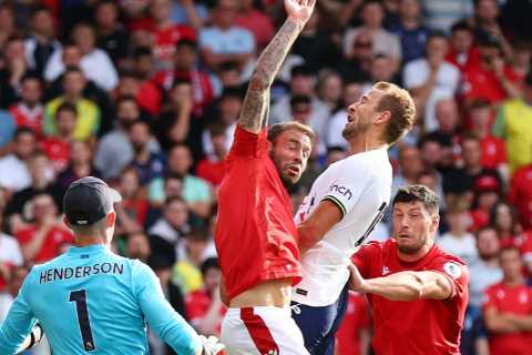 Fans all saying same thing as Steve Cook incredibly escapes red card for handball in Nottingham Forest clash with Spurs