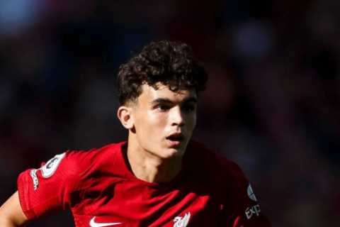 Liverpool’s transfer swoop for Spanish starlet Stefan Bajcetic was smart business and left Man Utd and Chelsea red-faced