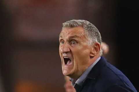 Sunderland to hand Tony Mowbray transfer funds in January if he manages to keep them in Prem promotion hunt