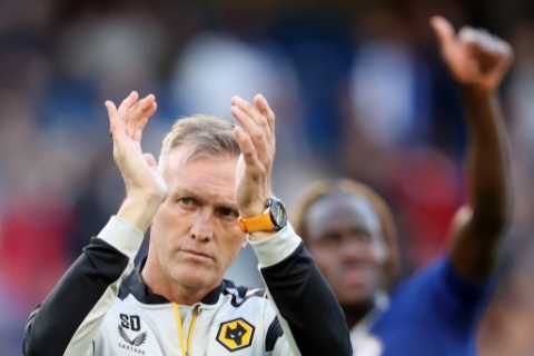 I’ve been a devoted Wolves fan for 50 years, I never imagined I’d manage them in the Premier League, says  Steve Davis