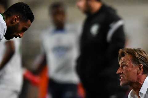 Do Saudi Arabia own Premier League side Newcastle United?