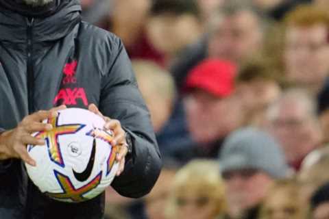 Gabby Agbonlahor continues rift with Jurgen Klopp and claims Liverpool boss is JEALOUS that Man City got Erling Haaland