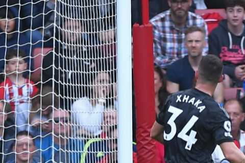 Southampton 1 Arsenal 1: Mikel Arteta’s side lose ground in Premier League title race as battling Saints grab draw