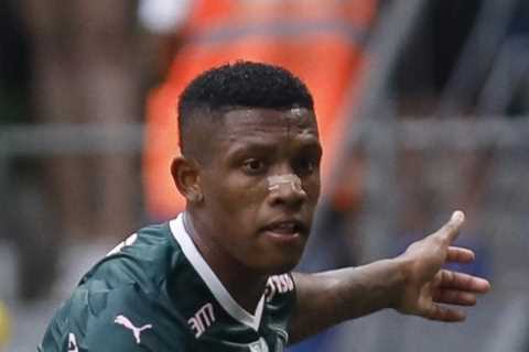 Arsenal send scouts to watch Brazil and Palmeiras midfield youngster Danilo ahead of January transfer swoop