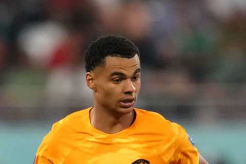 ‘Wizard’ Cody Gakpo can emulate idol Thierry Henry and take Premier League by storm with Liverpool, says old PSV coach