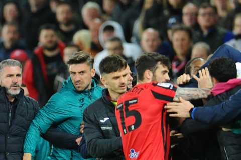 Watch moment huge 30-man brawl erupts in crazy Swansea vs Preston clash as subbed ex-Liverpool star is SENT OFF