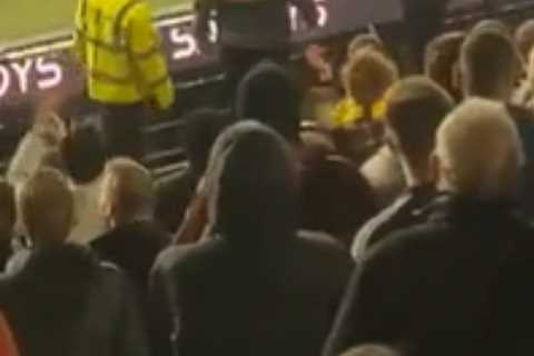 Shocking moment Watford fan lashes out at steward after he storms pitch to confront players