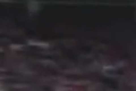Tony Mowbray suffers freak injury celebrating Sunderland’s last-gasp equaliser against Watford