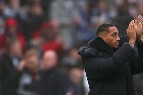 Brighton unveil £30m signing Joao Pedro as fans demand he is subbed ON with Seagulls 3-0 down to Everton