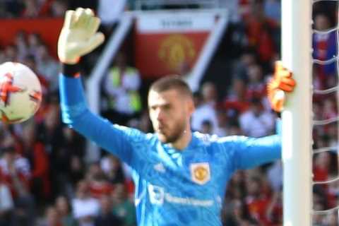 Fans all say the same thing as under-fire Man Utd keeper David De Gea WINS Premier League Golden Glove