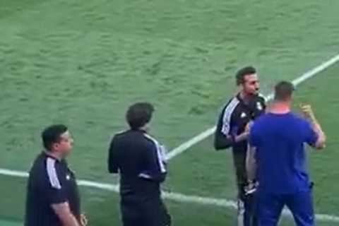 Watch Fernando Torres get sent off during U19 game for shoving rival coach – who is his former Liverpool TEAM-MATE