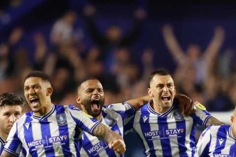Sheffield Wednesday fan who ripped up his ticket after team lost 4-0 in first leg goes viral after stunning comeback win