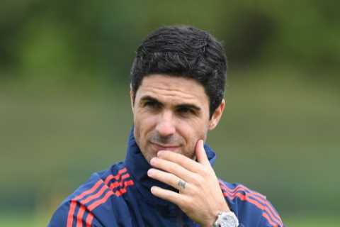 Mikel Arteta brings OLIVE TREE to Arsenal meetings for bizarre reason and says ‘Win’ the chocolate labrador is NOT a dog