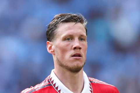Wout Weghorst lined up for immediate Premier League return after impressing on Man Utd loan transfer