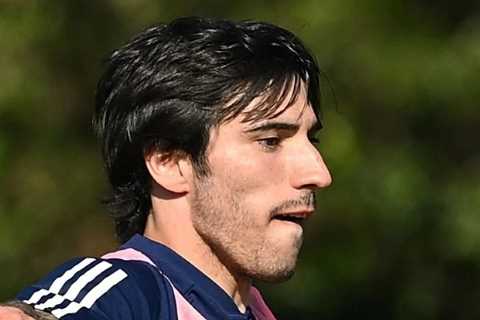 Newcastle make £43m transfer bid for AC Milan ace set to star at Euro U21 Championships as they steal a march on Chelsea