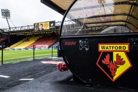 Watford FC physio Phil Edwards ‘carried out horrifying sex attacks on 29 teen boys at club’, report claims