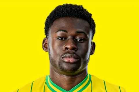 Chelsea complete SECOND transfer signing within 24 hours as Championship wonderkid joins Blues from Norwich