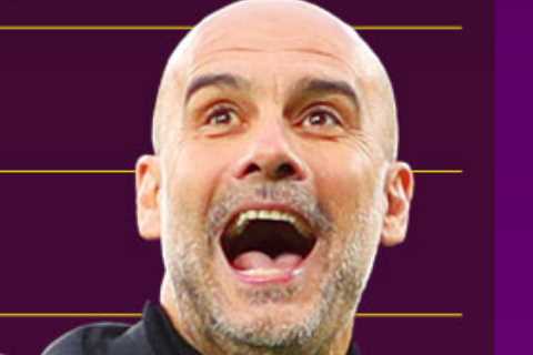 Best pound-for-pound Premier League managers revealed by fans with Ten Hag lower than LUTON boss and Pochettino 17th