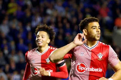 Sheff Weds 1 Southampton 2: Che Adams the hero as striker climbs off bench to bag winner in Championship opener