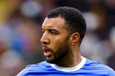 Premier League Hero Troy Deeney Joins Forest Green Rovers as Player-Coach
