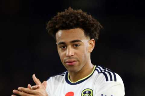 Tyler Adams 'completes £20m Bournemouth' transfer move from Leeds days after Chelsea pull plug on deal for USA star