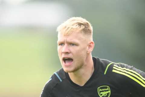 Premier League Legend Slams Arsenal's 'Pathetic' David Raya Transfer as He Backs Aaron Ramsdale