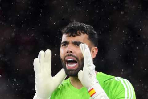Arsenal goalkeeper David Raya urges Ramsdale to fight for team after losing starting spot