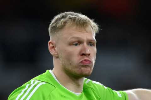 Aaron Ramsdale Spends Time Away from Arsenal Training with Heartwarming Hobby Every Football Fan Loves