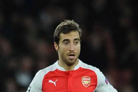 Arsenal Star Turned Billionaire: Mathieu Flamini's Rise in the World of Biochemicals